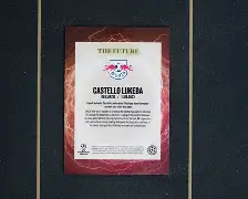 乐鱼app-包含窗口期葡超传出新动向，莱比锡内部沟通，管理层表态：话题不断，细节决定成败的词条